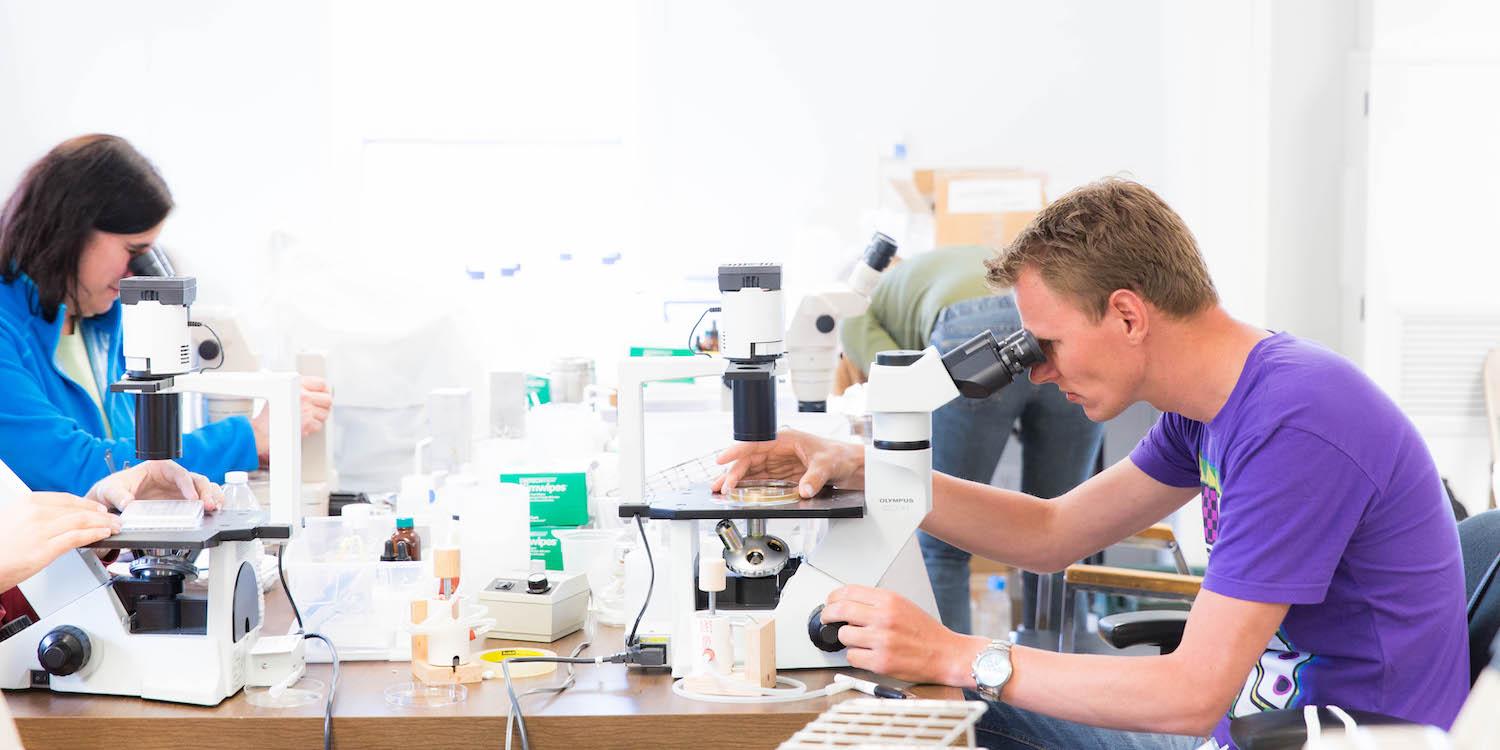 NCMA at Bigelow Laboratory